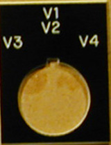 NES Standard 22mm Legend Plates